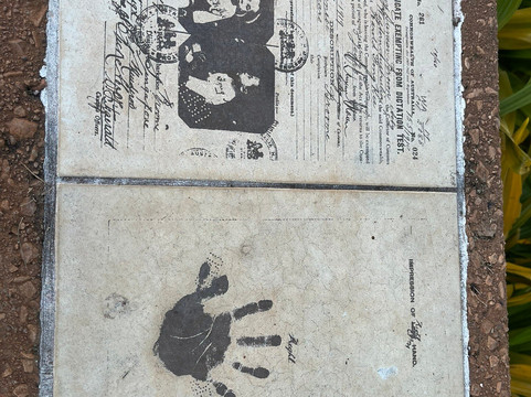 Salty Plum Social-布鲁姆必去景点