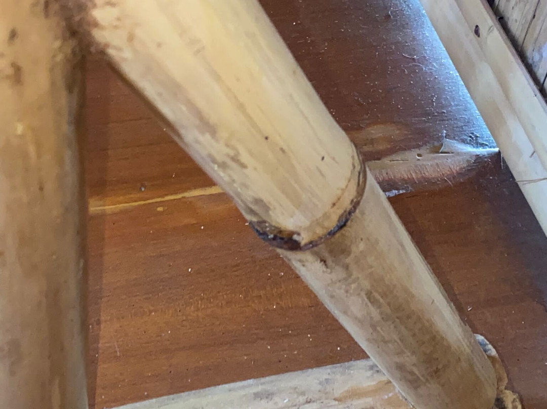 Menjangan Hill主图