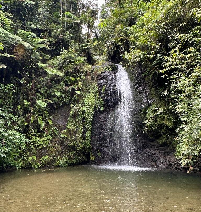 Le SDG - Cascade-Fonds Saint Denis必去景点