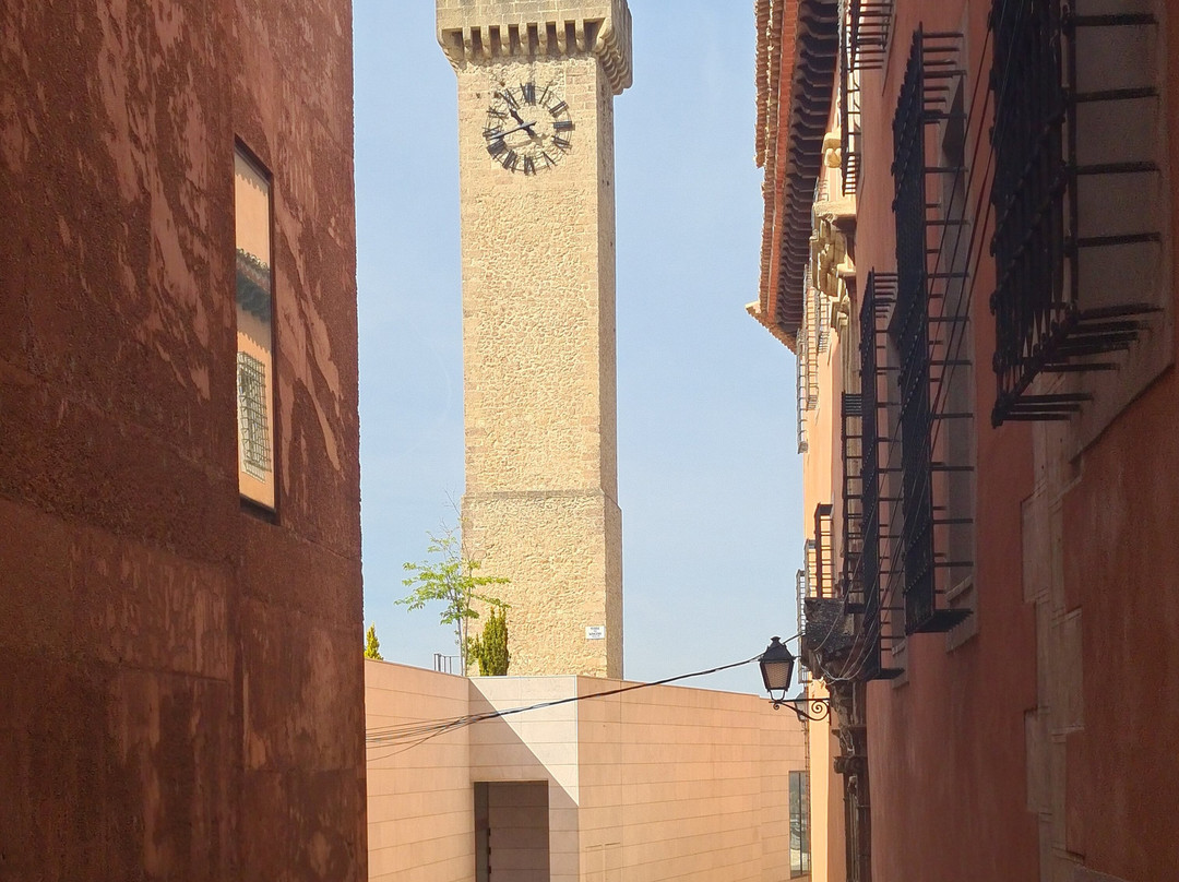 Torre Mangana景点图片