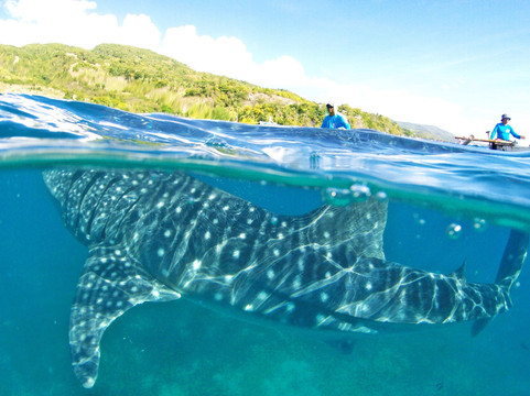 PH Kawasan Canyoneering-宿雾市必去景点