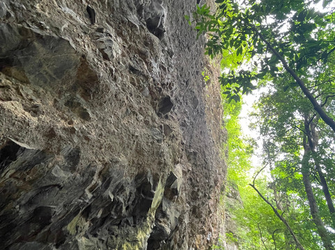Colorado Adventure Tours Rincon de la Vieja Volcano-Curubande必去景点