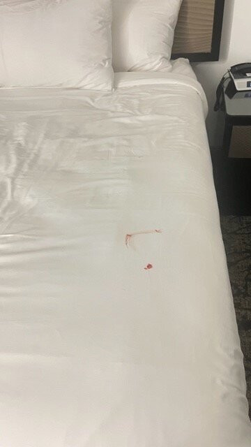 The Regalia Hotel & Conference Center主图