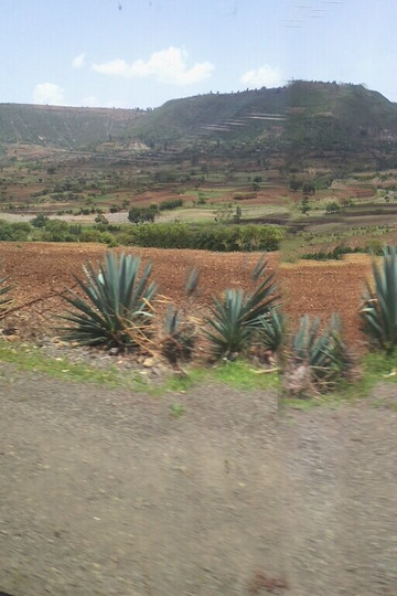 Ethio North Trekking-贡德尔必去景点