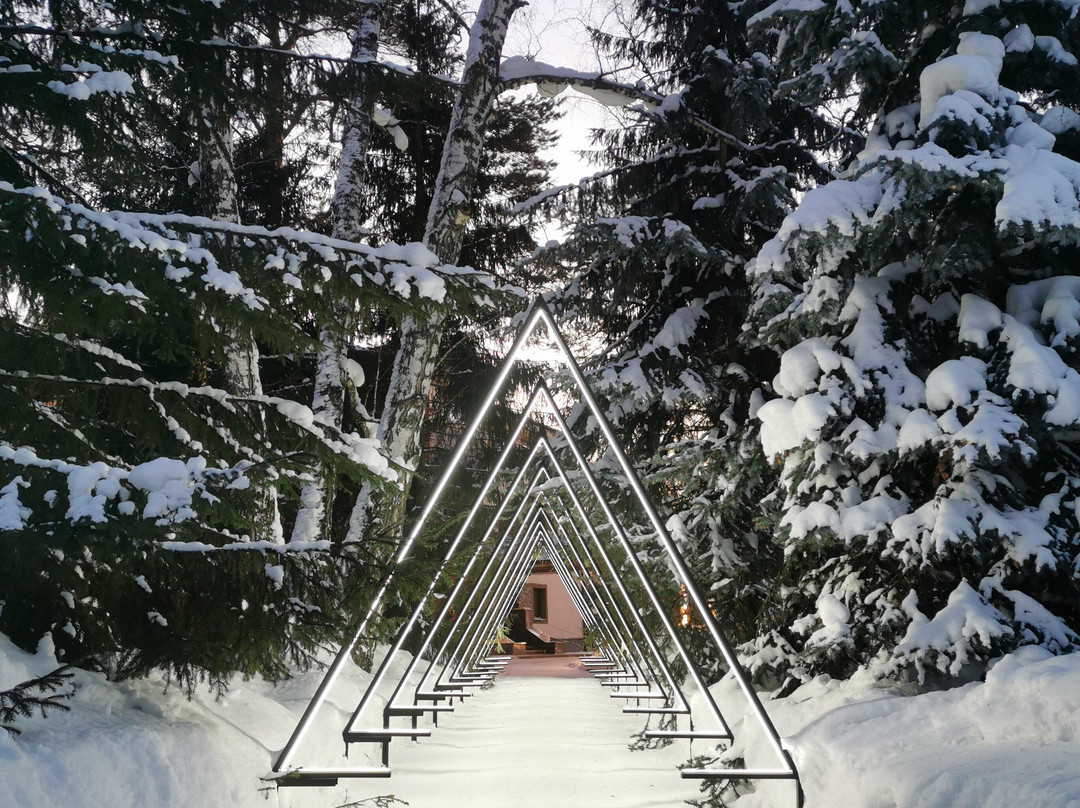 Sosnovy Bor Park - Hotel主图