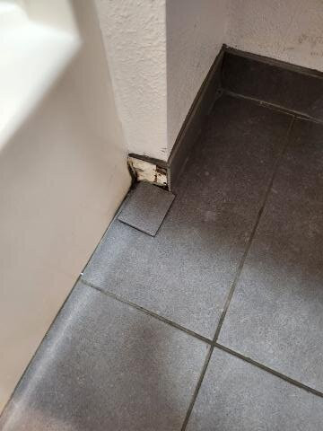 Best Western Plus South Hill Inn主图