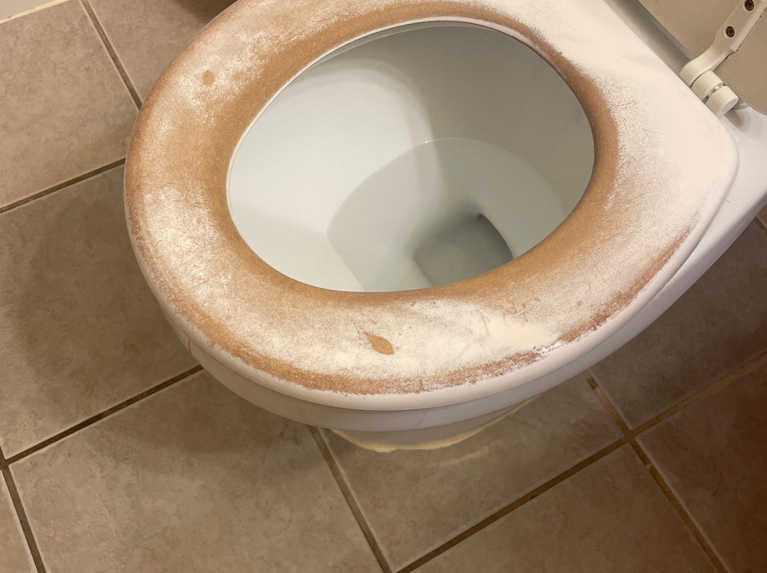 Meadowbrook Motor Lodge主图