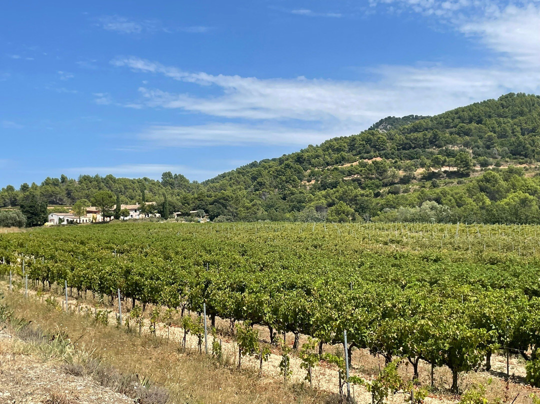 Clos De Caveau景点图片