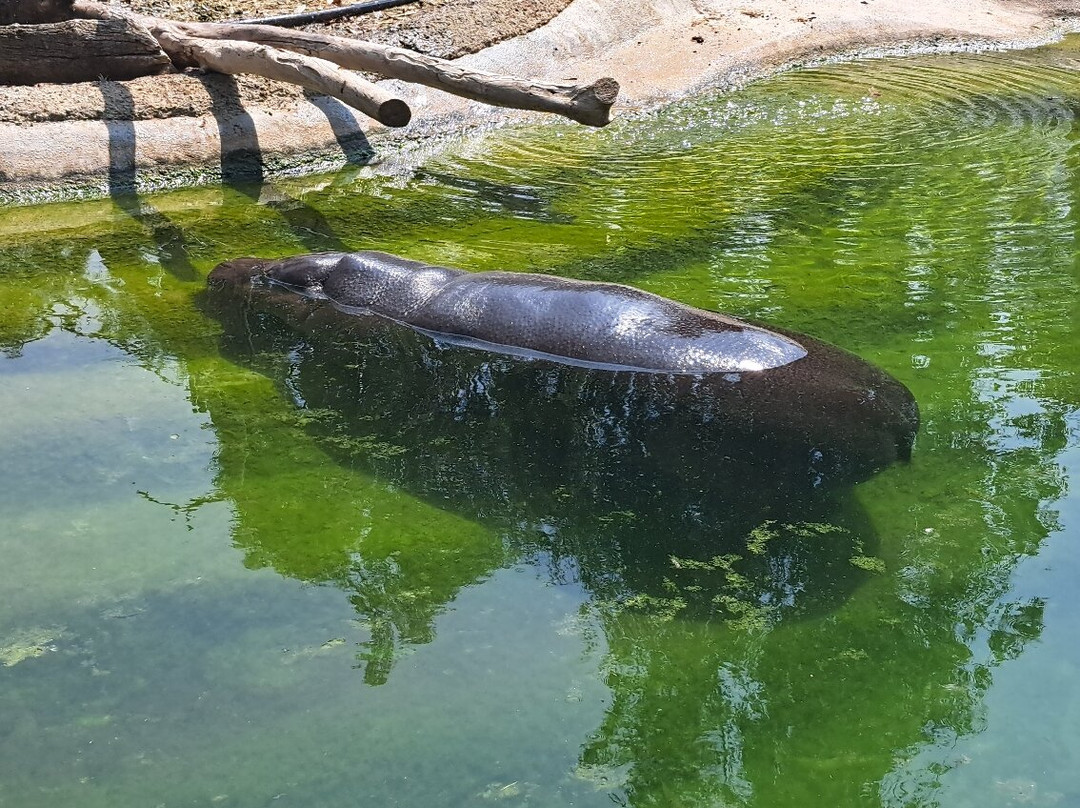 Limassol Zoo-利马索尔必去景点