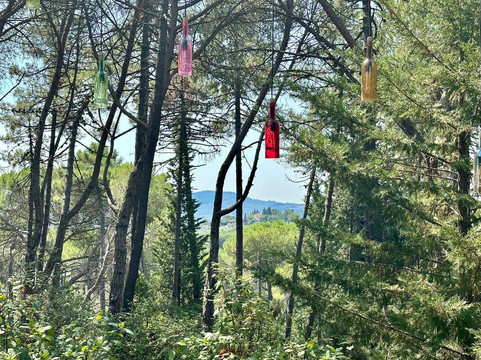 切西别墅酒店主图