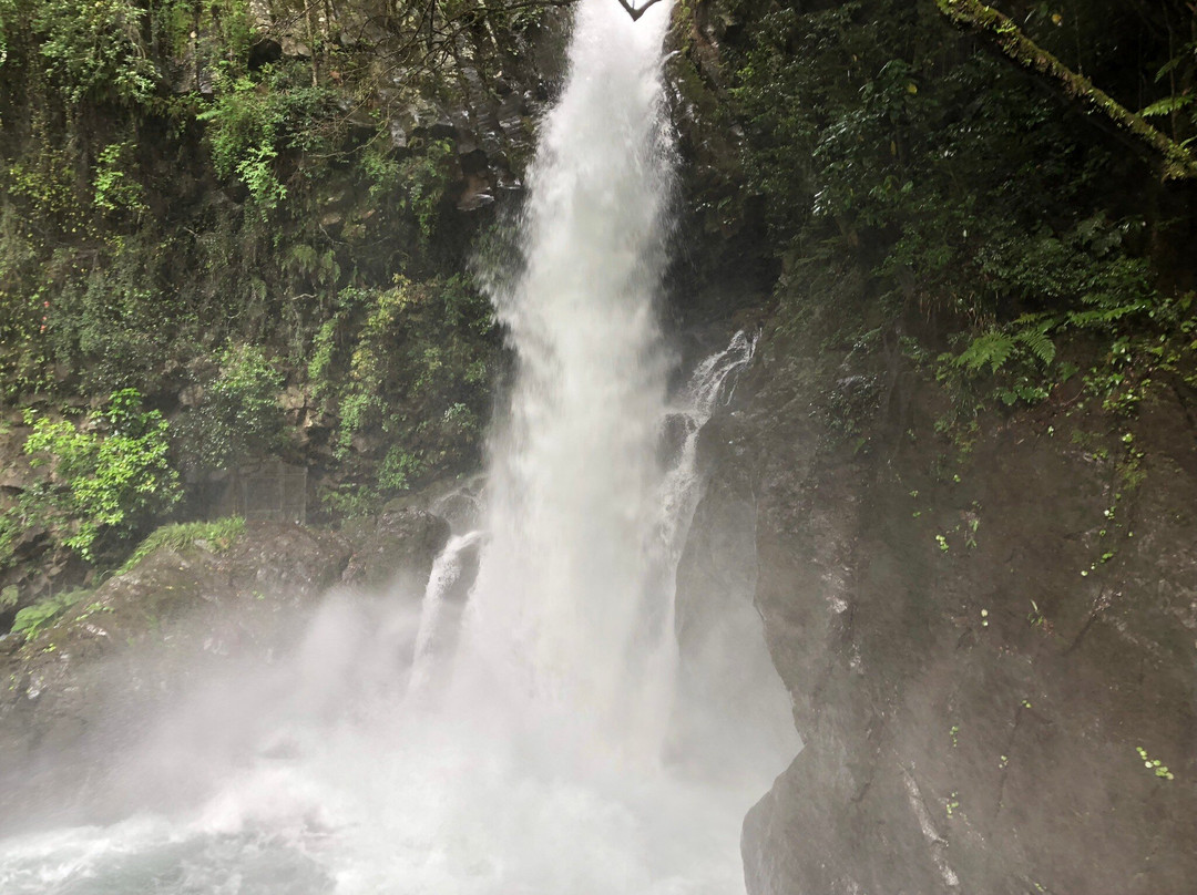 Kamadaru Kawazu Seven Waterfalls景点图片
