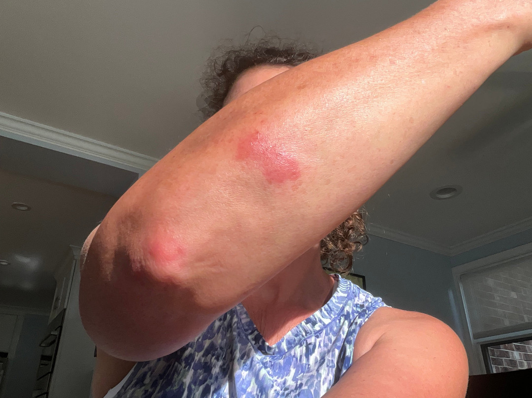 Super 8 by Wyndham Pulaski主图