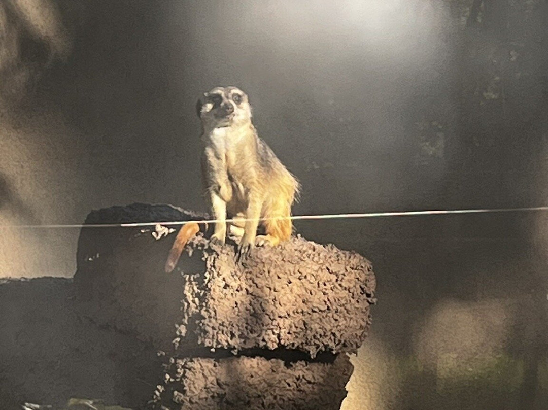 Orientarium Zoo Lodz-罗兹必去景点