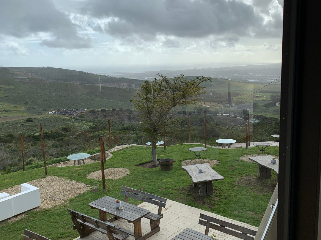 Bloemendal Wine Estate-德班丘必去景点