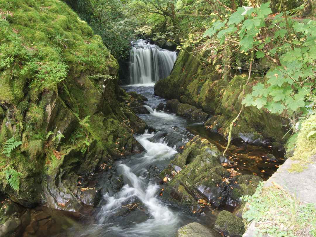 Glyn Peris Guest House主图