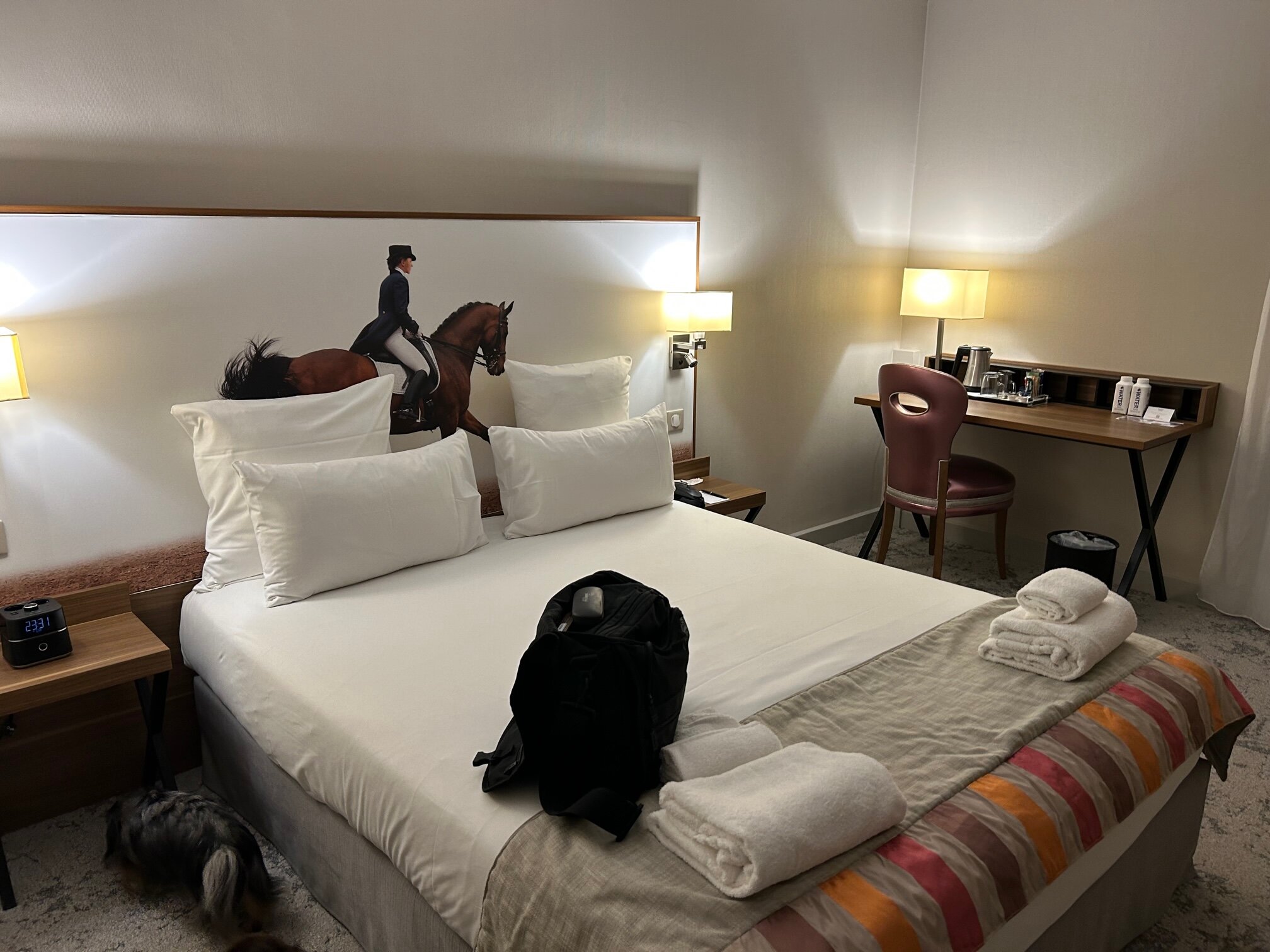 Best Western Plus Hotel Du Parc-客卧