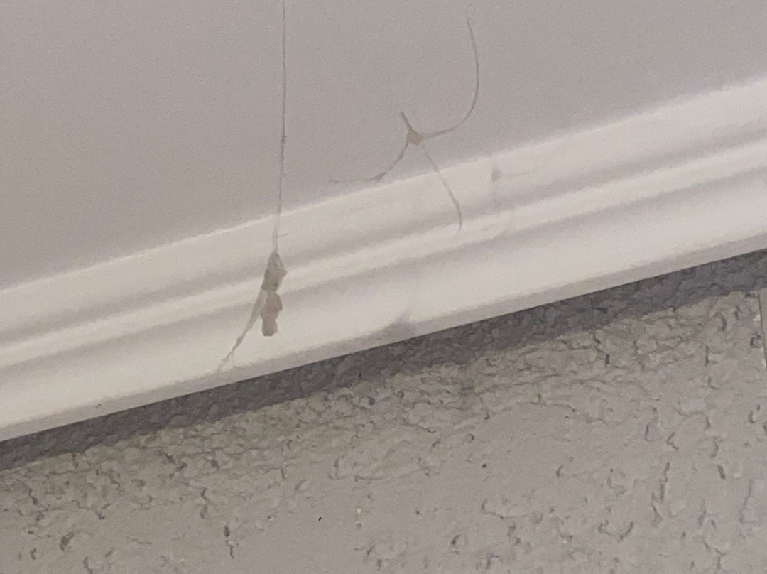 Poseidon Palace Hotel主图