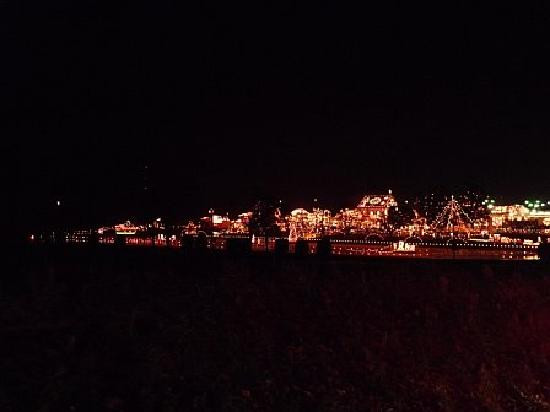 Koziar's Christmas Village景点图片