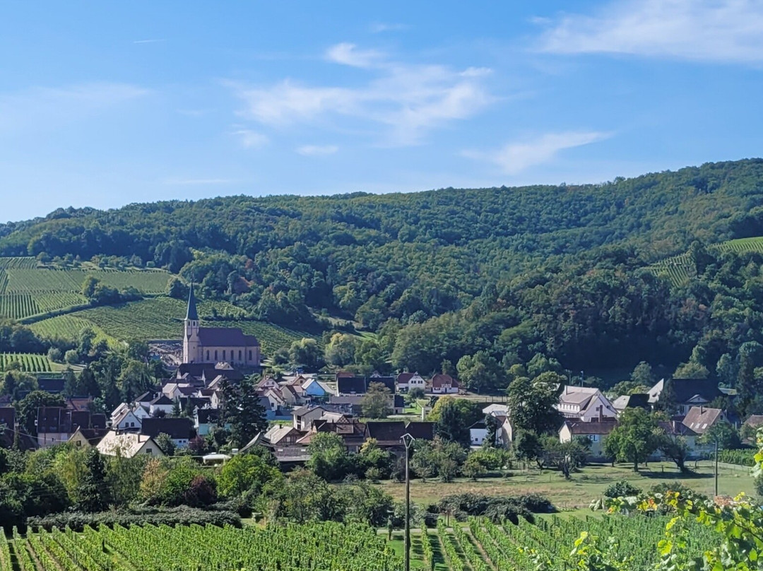 Domaine Wach景点图片