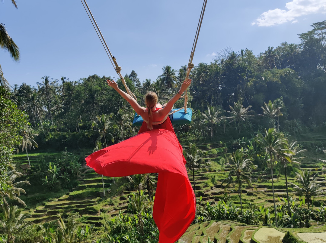 Private Guided Tour with adventure in Ubud Bali-乌布必去景点