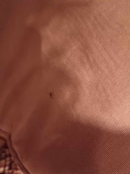 蒙特沙佩第戎中心酒店-官方