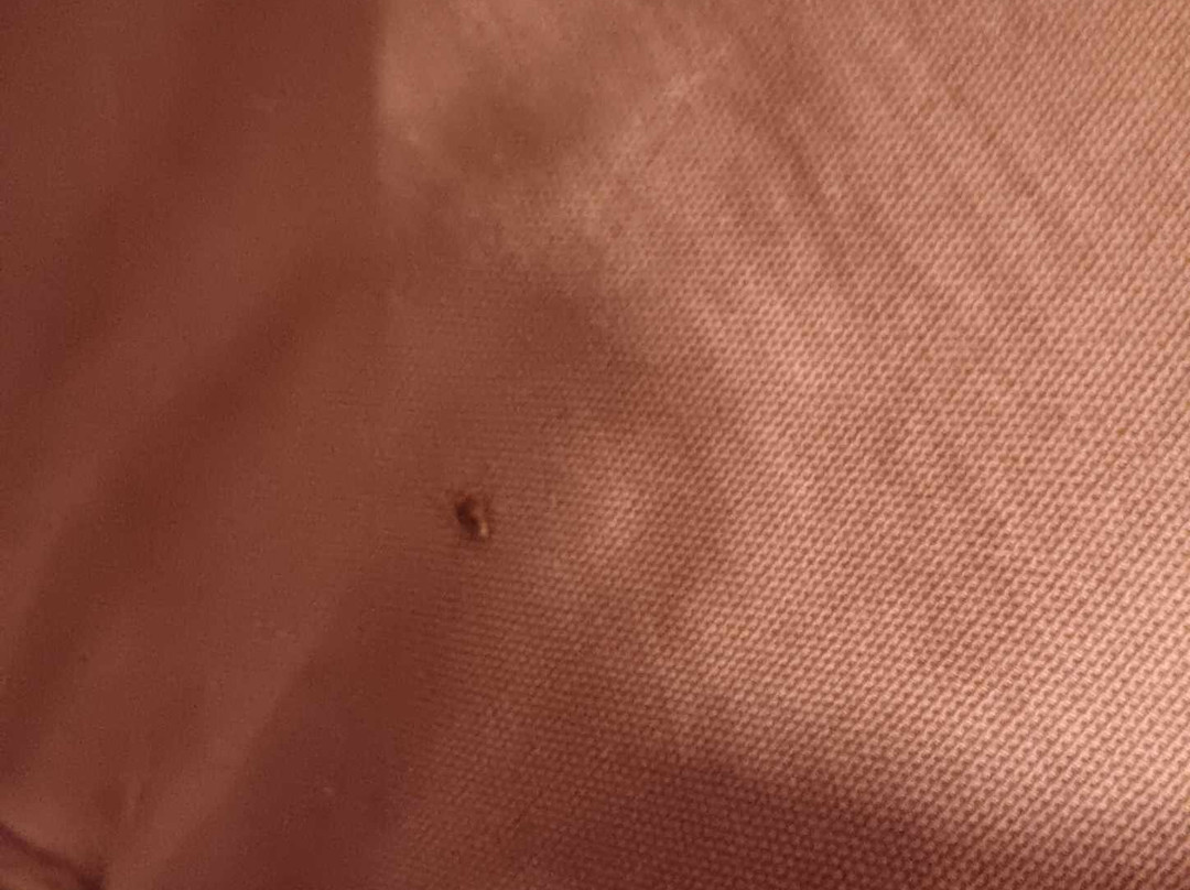 Hotel Montchapet主图