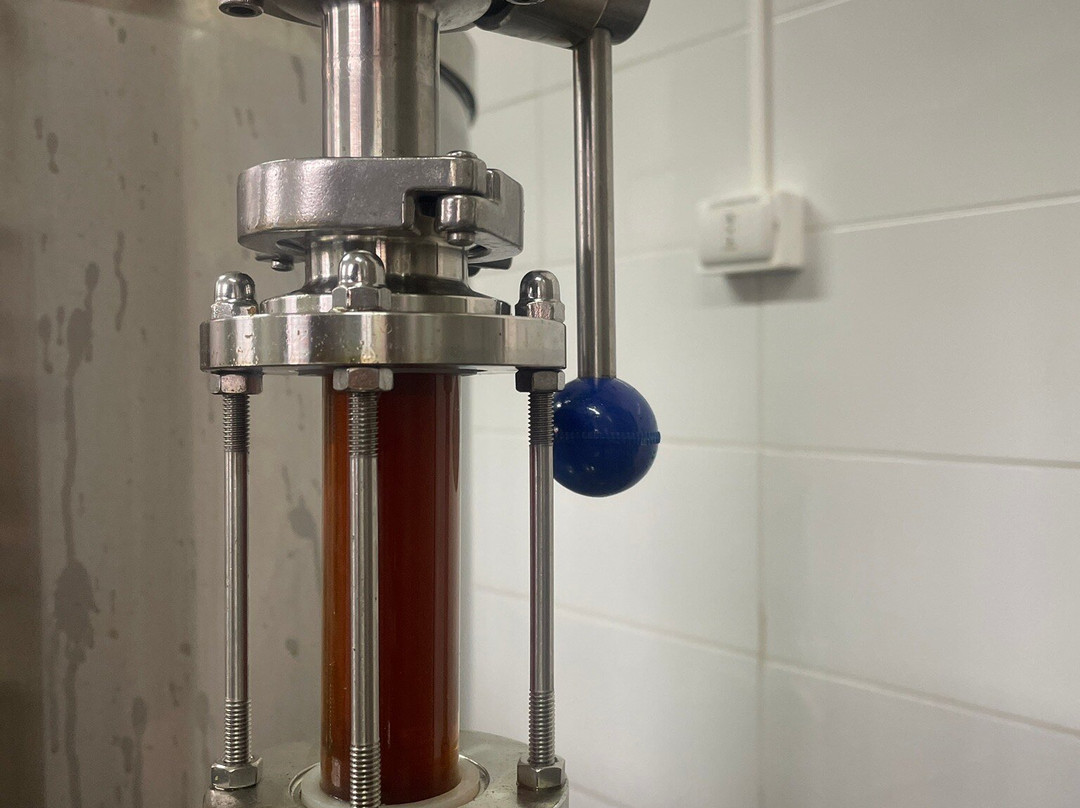 Coliumo-Tome必去景点