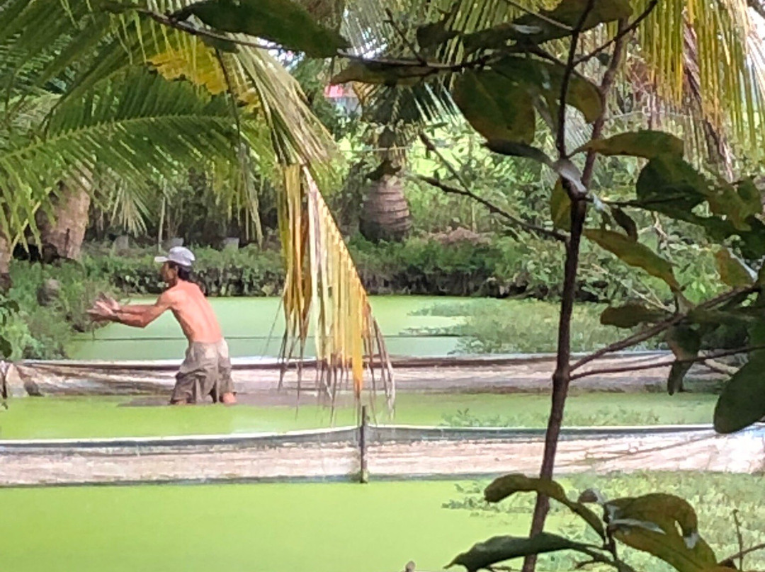 Bassac River Retreat-芹苴必去景点
