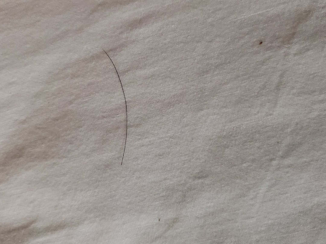 Red Roof Inn & Suites Hermitage主图