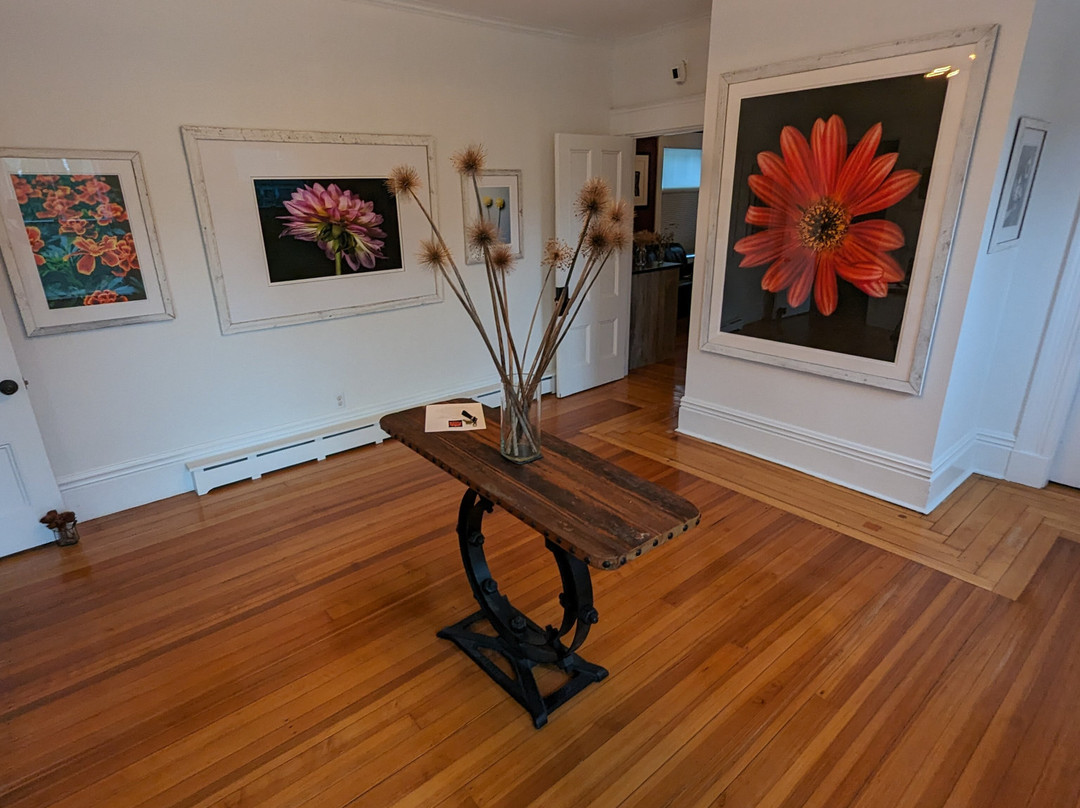 Sea Street Inn主图