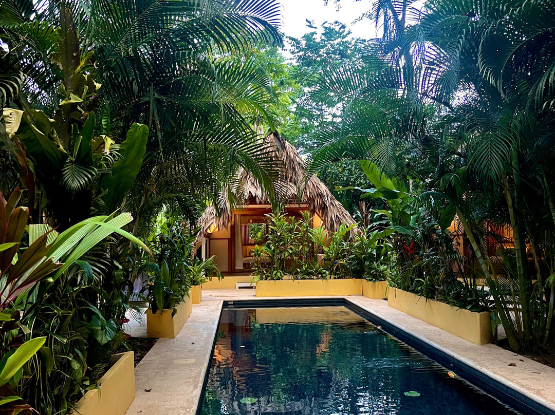 Costa Rica Escapes景点图片