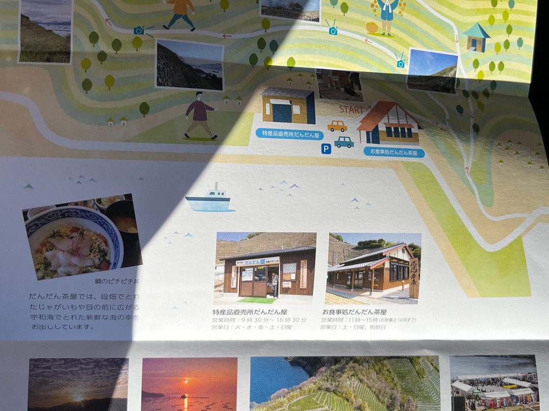 Yusumizugaura Terrace Field-宇和岛市必去景点