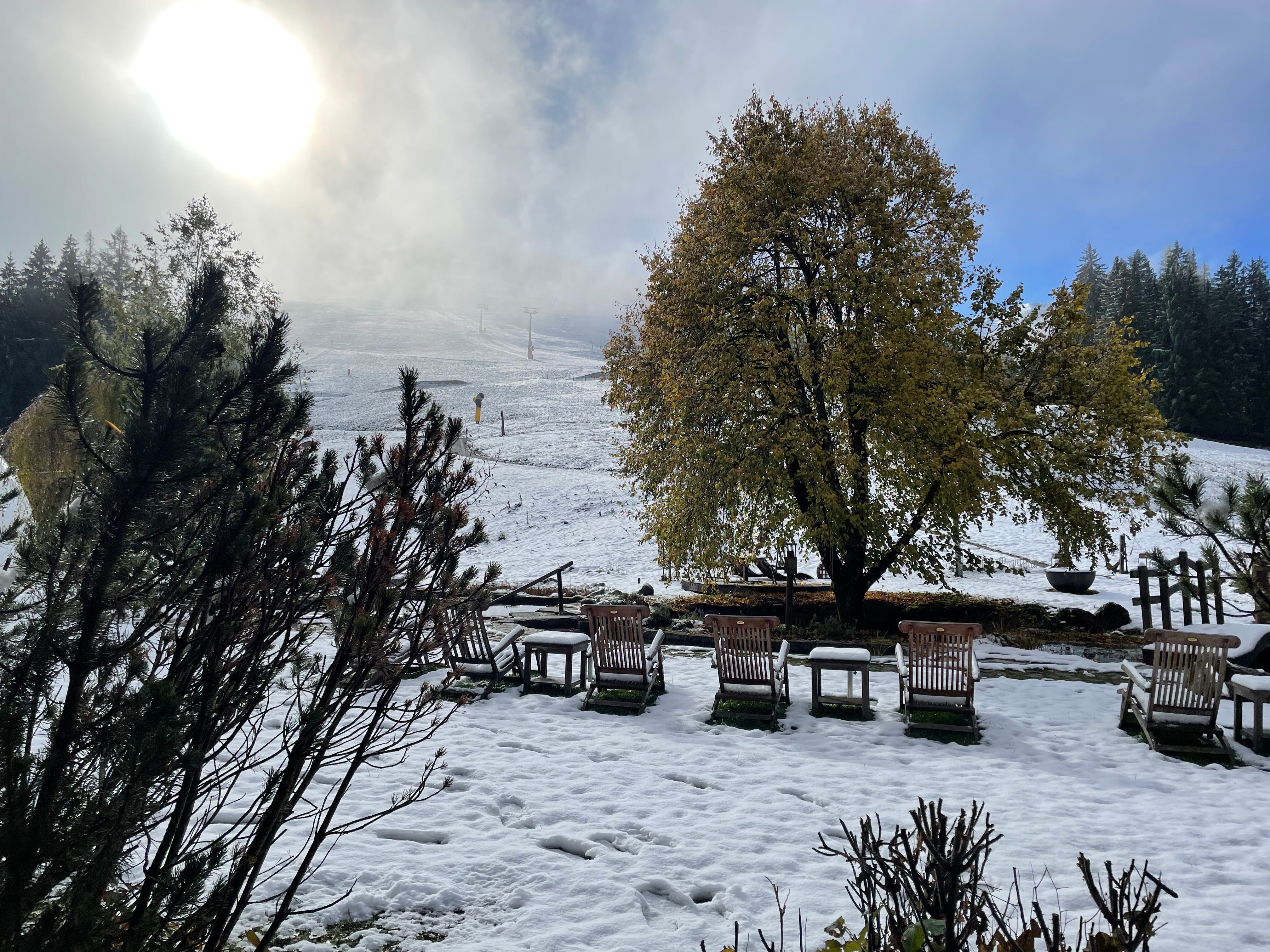 Holzhotel Forsthofalm-酒店景观