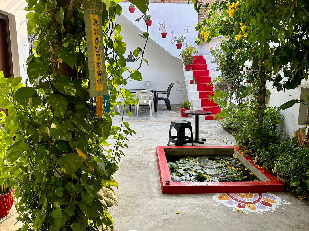 The Highvill Home Stay主图