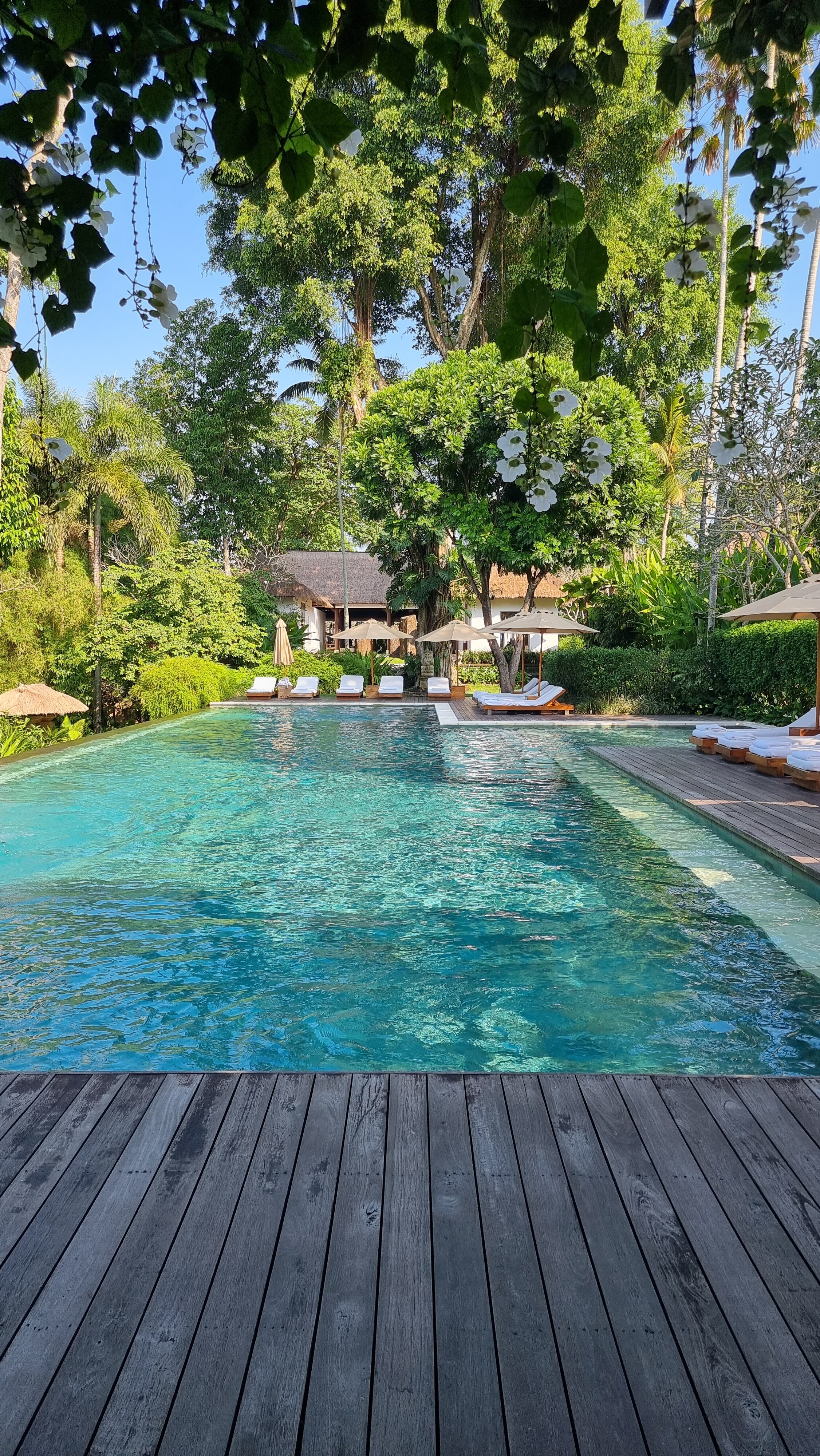COMO Uma Ubud Bali-泳池