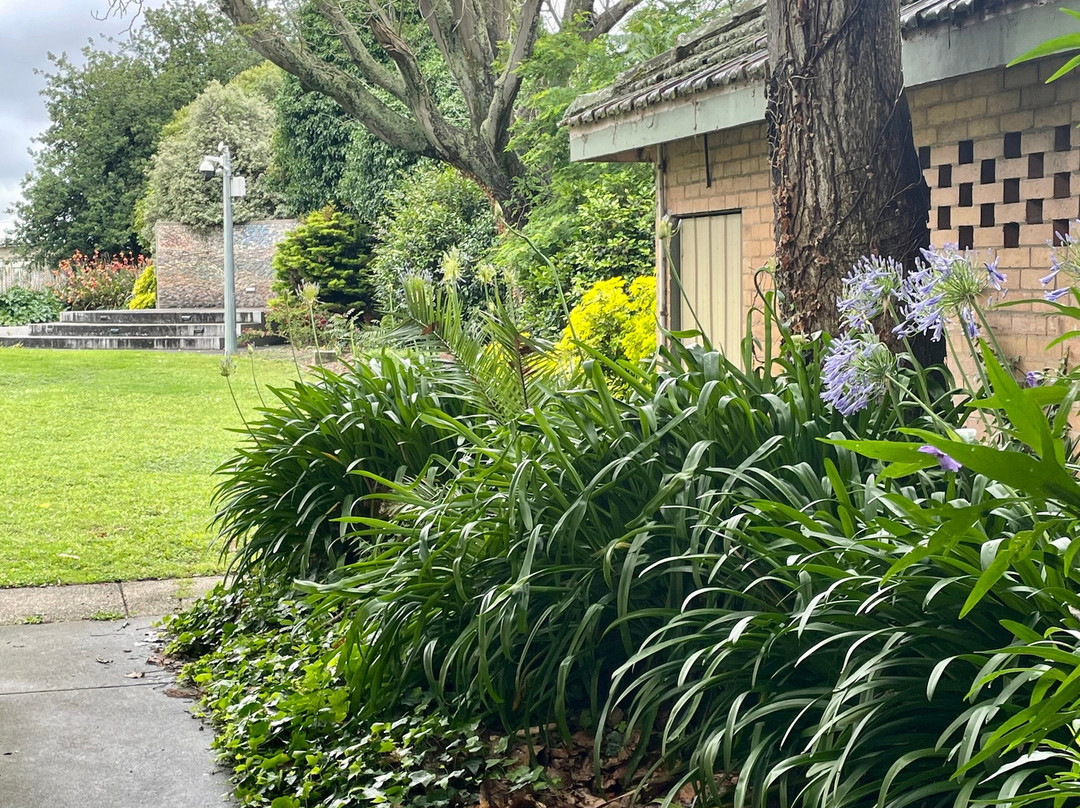 Queen Street Park-沃拉格尔必去景点