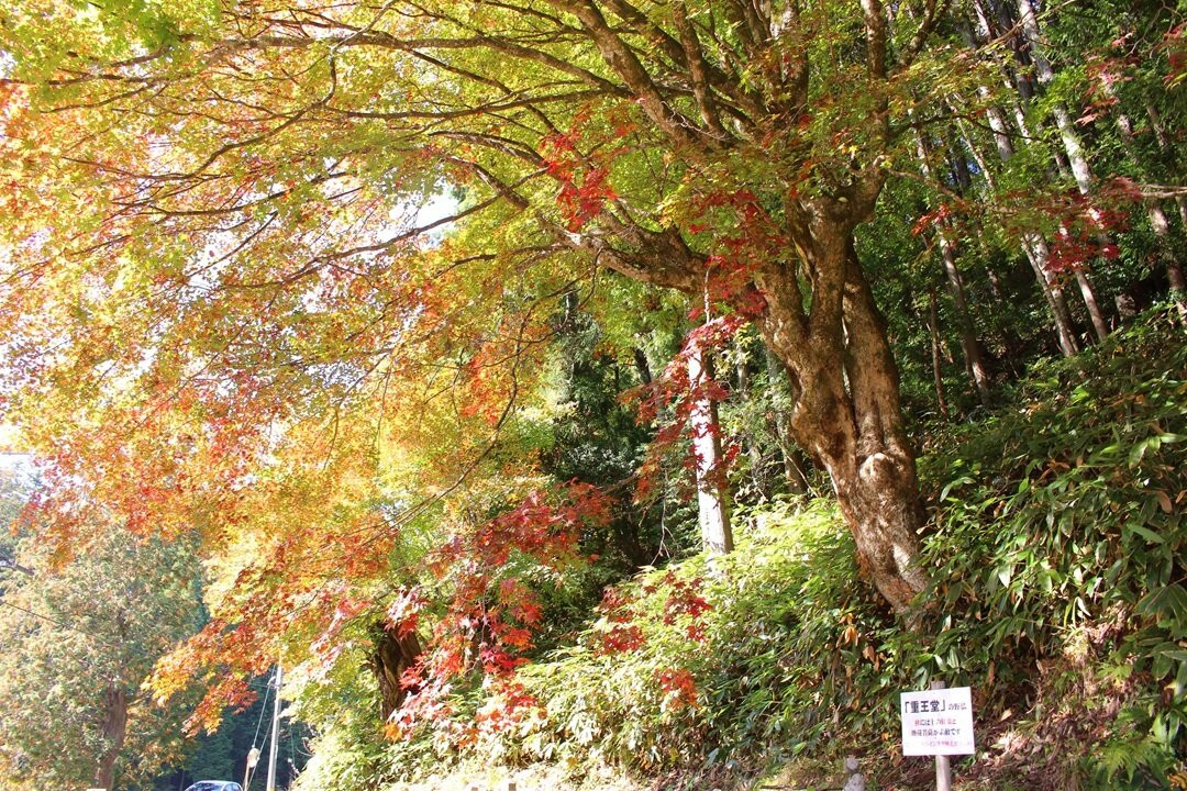 Kuki Silver Mine Ruins-邑南町必去景点