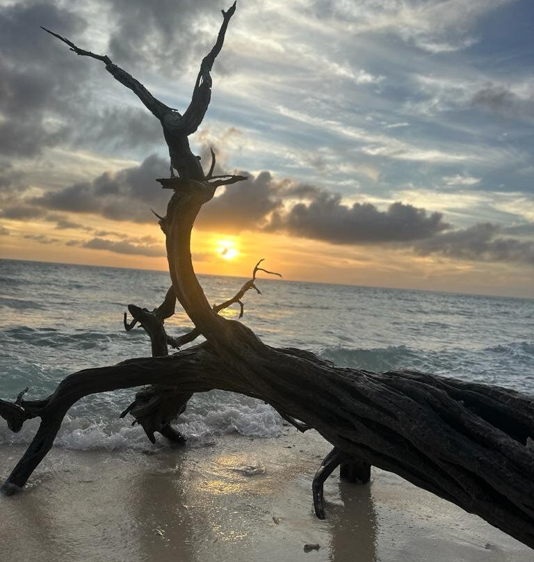 Landhuis San Nicolas-Soto必去景点