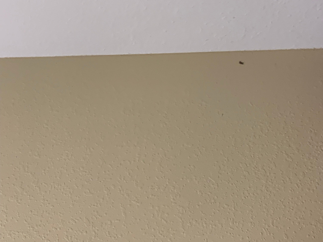 Hampton Inn Ottumwa主图