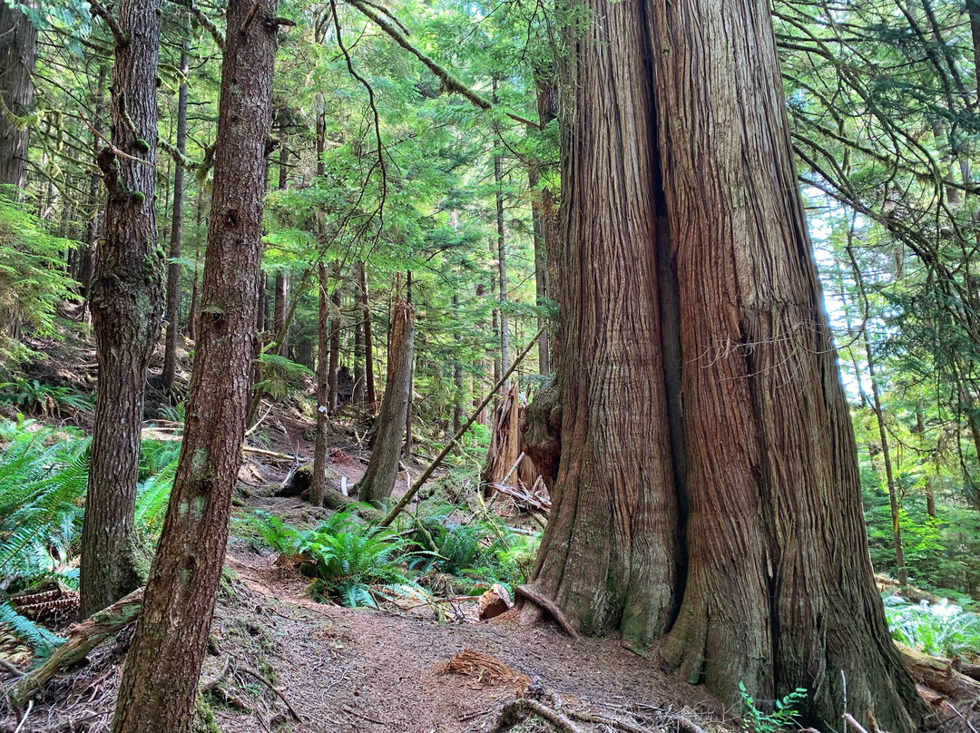 Dempsey Collinson Memorial Trail-Daajing Giids必去景点