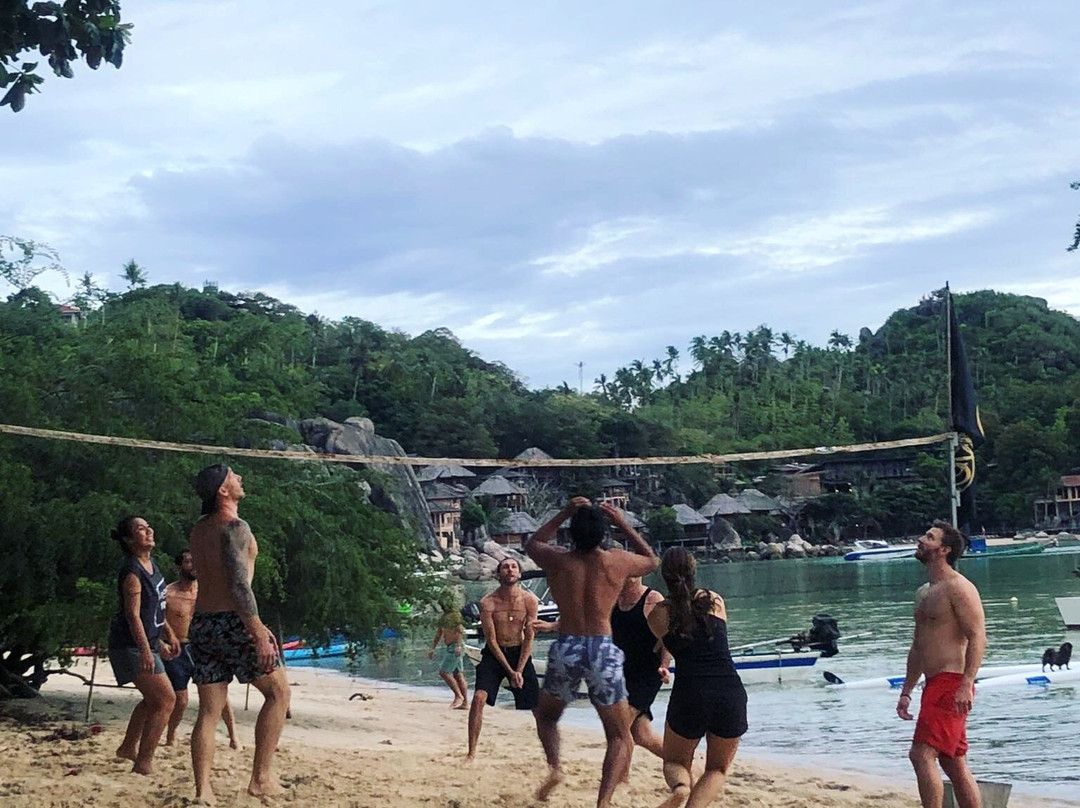 Koh Tao Beach Volleyball景点图片