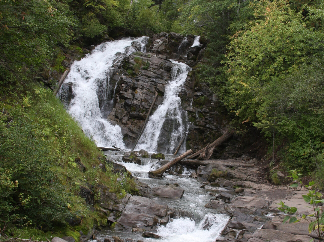 Fairy Creek Falls景点图片