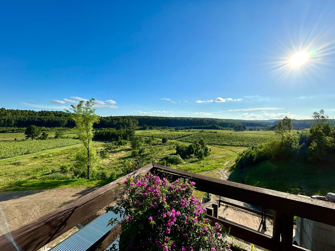Bodega Cerro Chapeu-Rivera必去景点