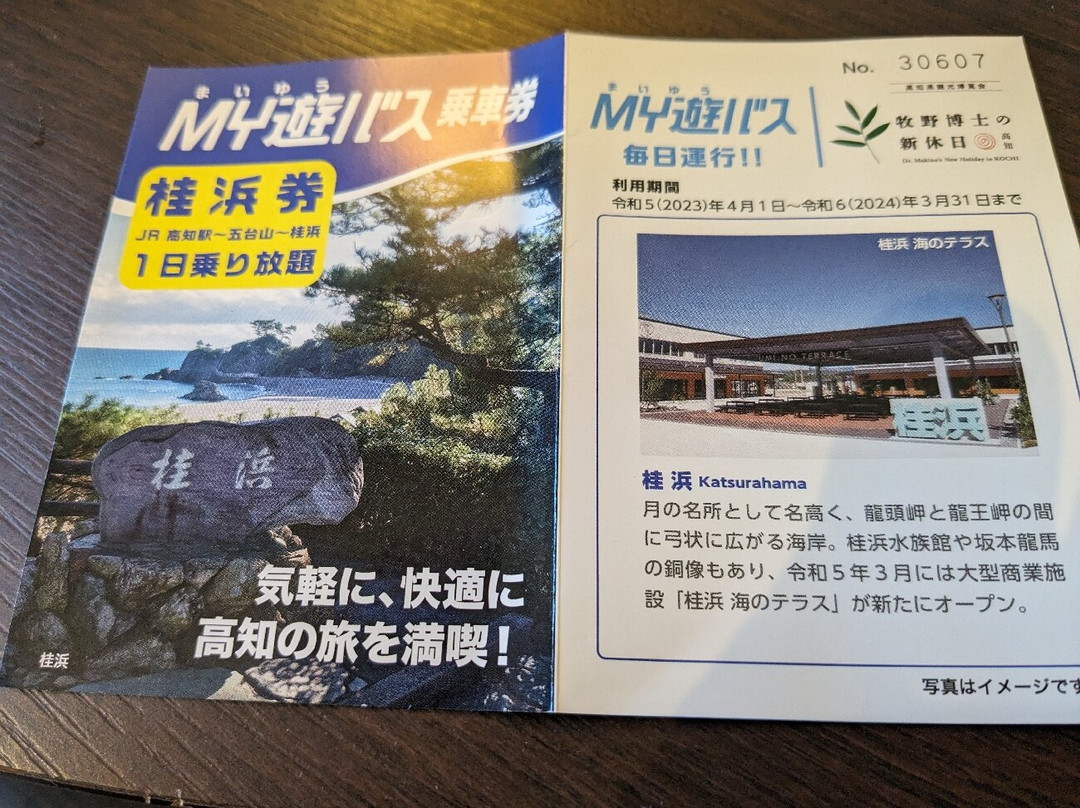 Kochi Tourist Information Center Tosa Terrace-高知市必去景点