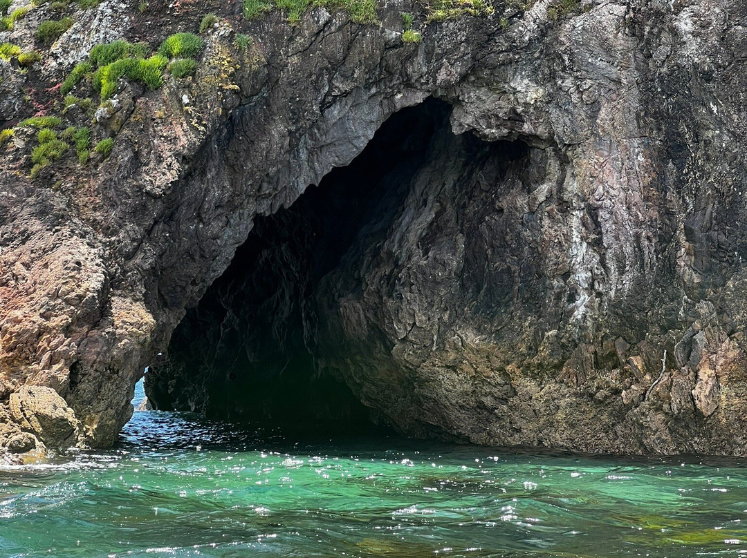 Sea Cave Adventures-菲蒂昂格必去景点