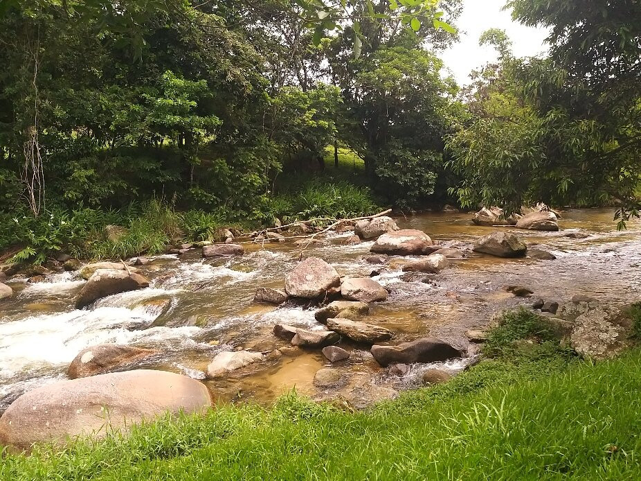 Hotel Pousada Bambuzal主图