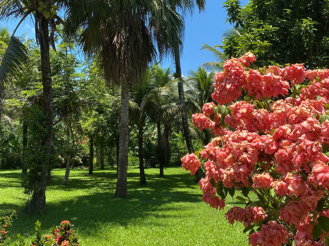 Pousada Chacara das Acacias主图