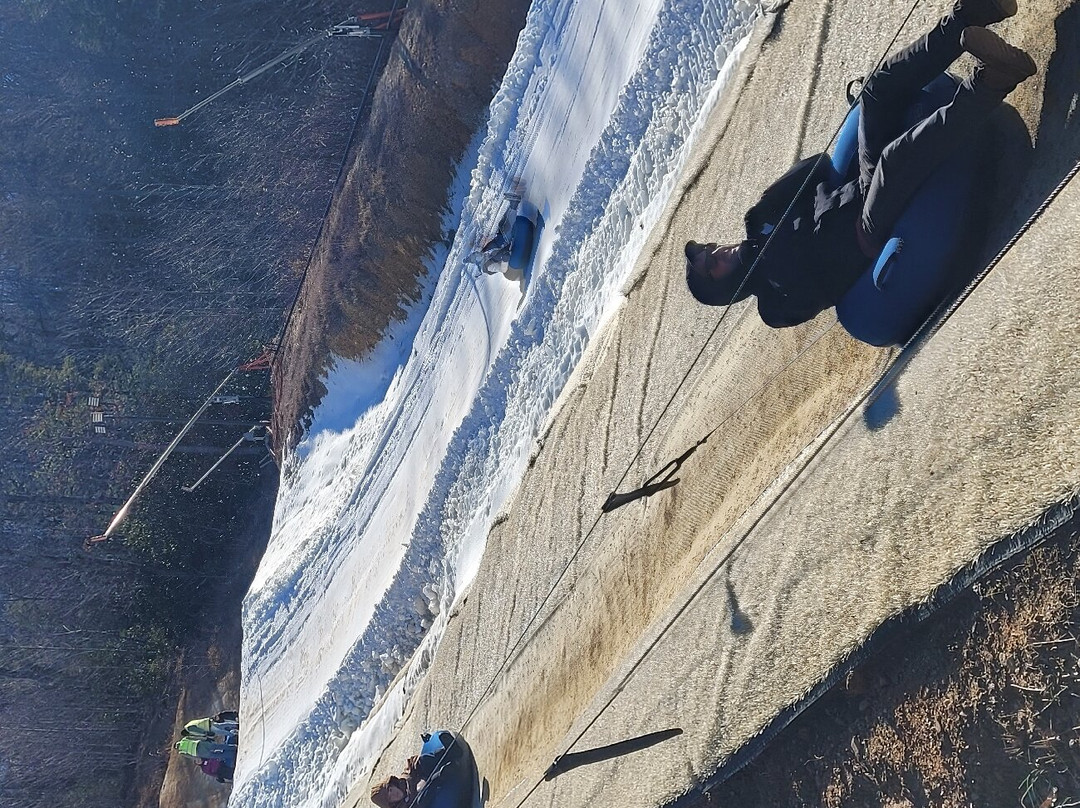 Black Bear Snow Tubing景点图片