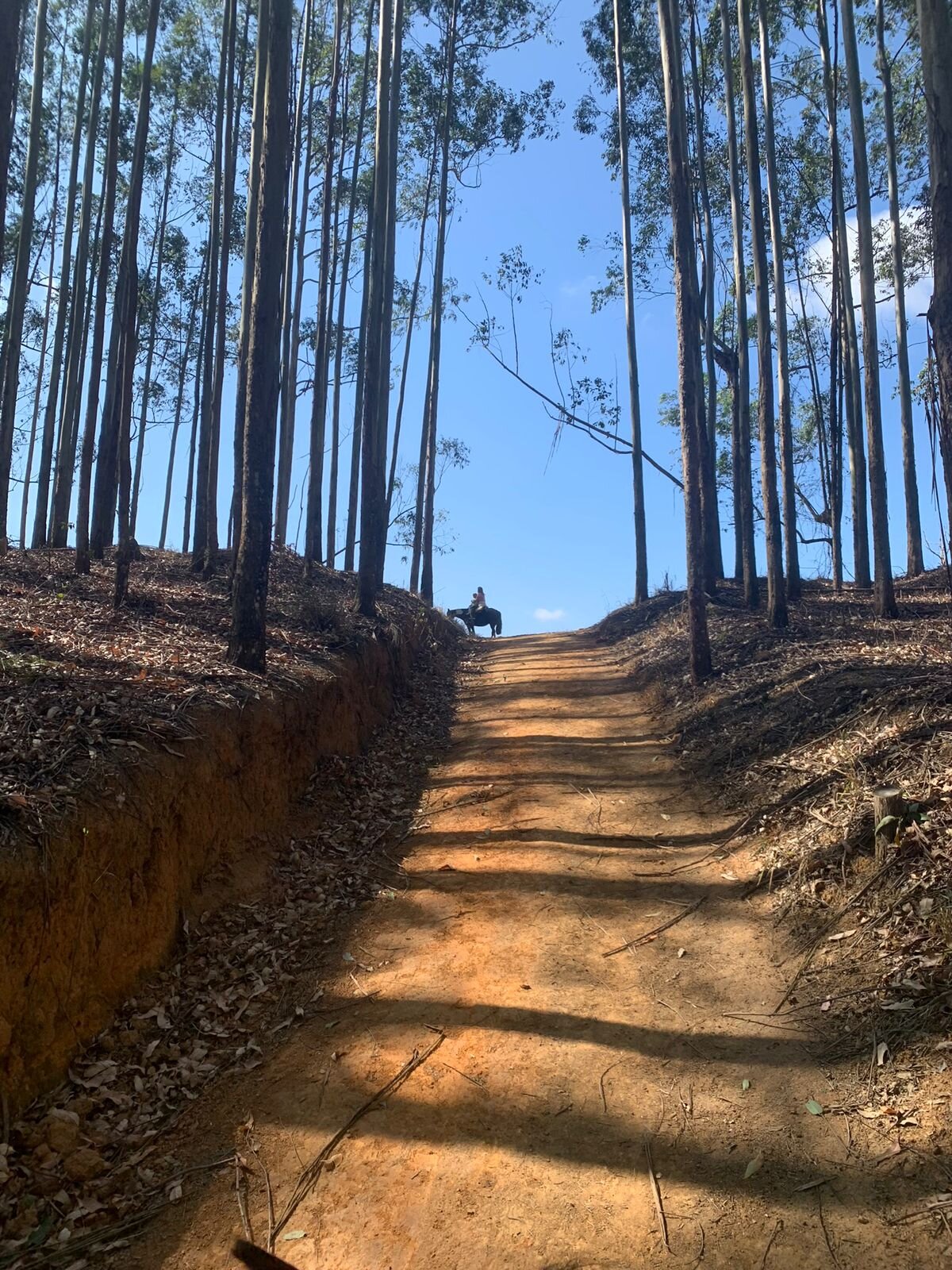 Resort Fazenda 3 Pinheiros-家庭/游戏区