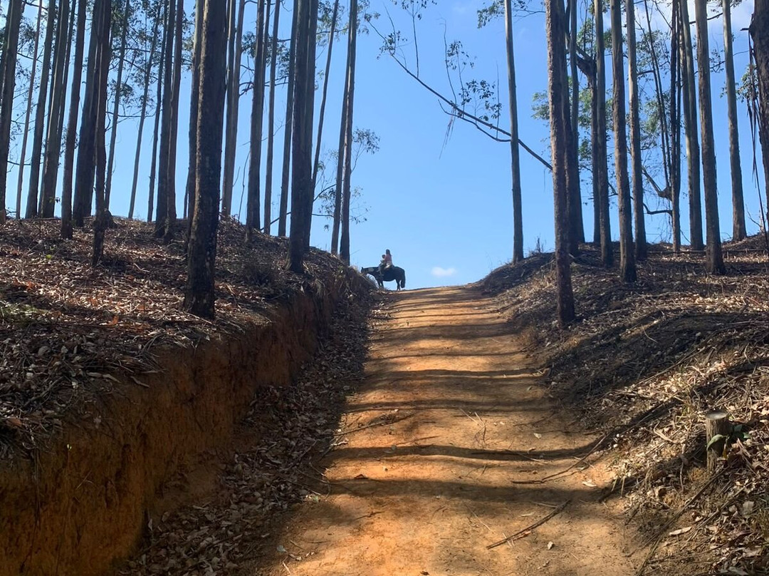 Resort Fazenda 3 Pinheiros主图